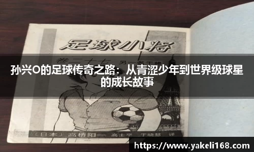 熊猫体育官网